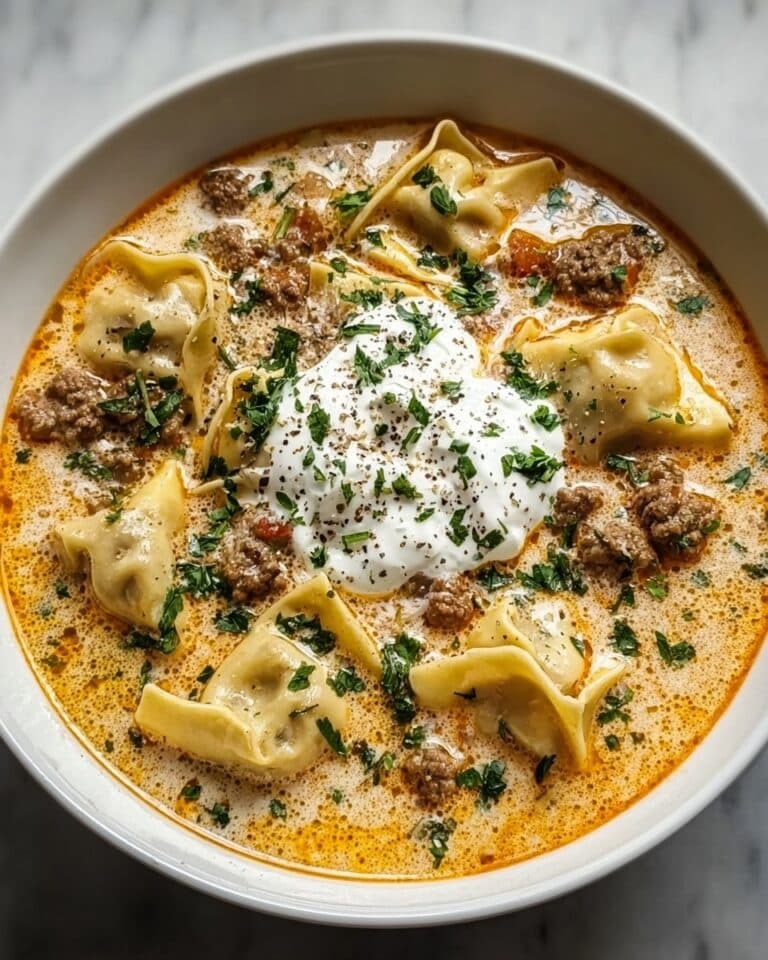 Creamy Alfredo Lasagna Soup Recipe