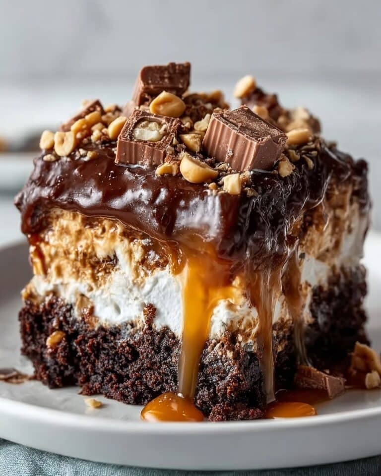 Chocolate Peanut Butter Dump Cake Recipe